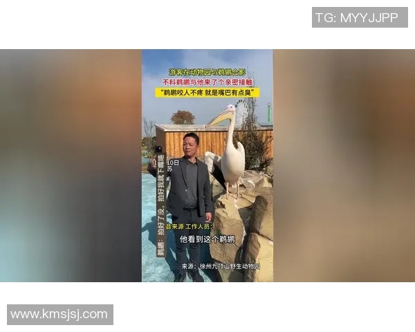 鹈鹕队员亲密接触澳洲动物园动物明日季前赛前感受本土文化魅力